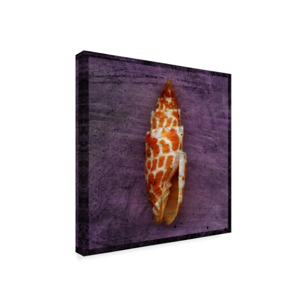 John W. Golden 'Orange Shell' Canvas Art,35x35